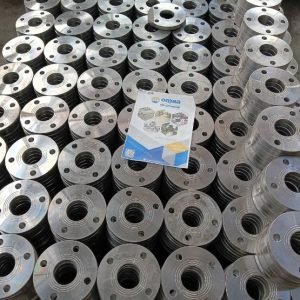 ASTM A182 Stainless Steel 304/304L Flanges