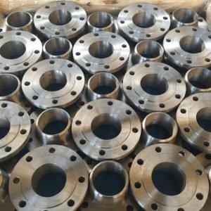 Duplex Steel F51 SAF 2205 Flanges