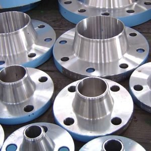 Hastelloy B2 Flanges
