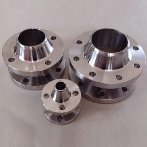 Lean Duplex Steel 2101 Flanges