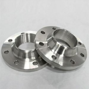 Super Duplex Steel 2507 Flanges