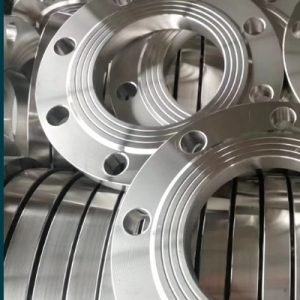ASME B16.5 Flanges Supplier in Tanzania